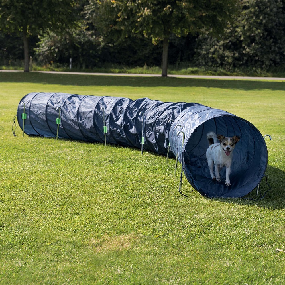 large dog agility tunnel