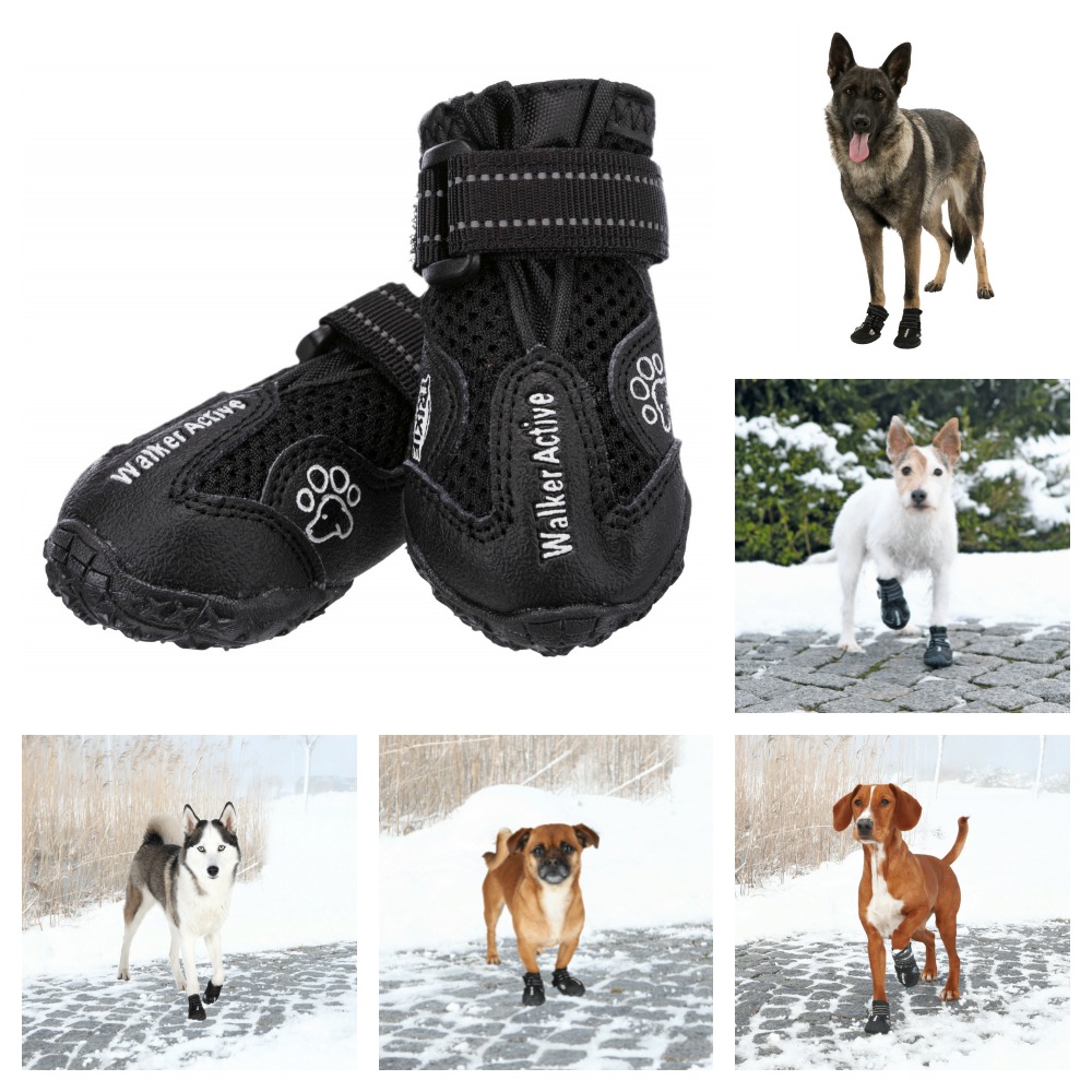 dog boots for injuries